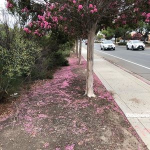 Meet your Posher, Moises